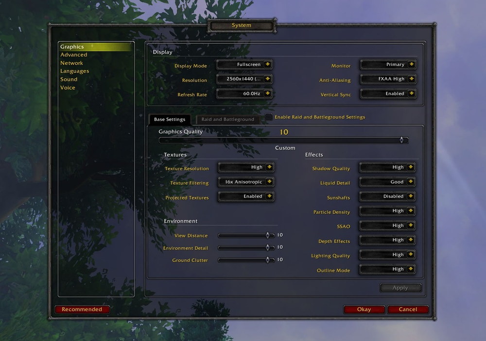 World of Warcraft Video Options - World of Warcraft Performance Guide